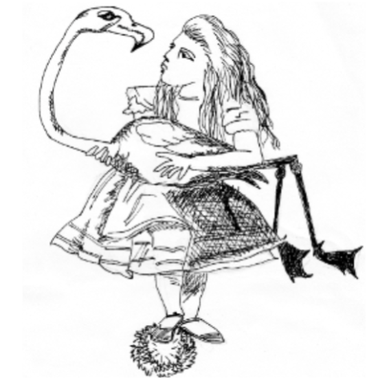 Alice and flamigo drawing